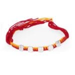 Panch Dev Silver Rakhi